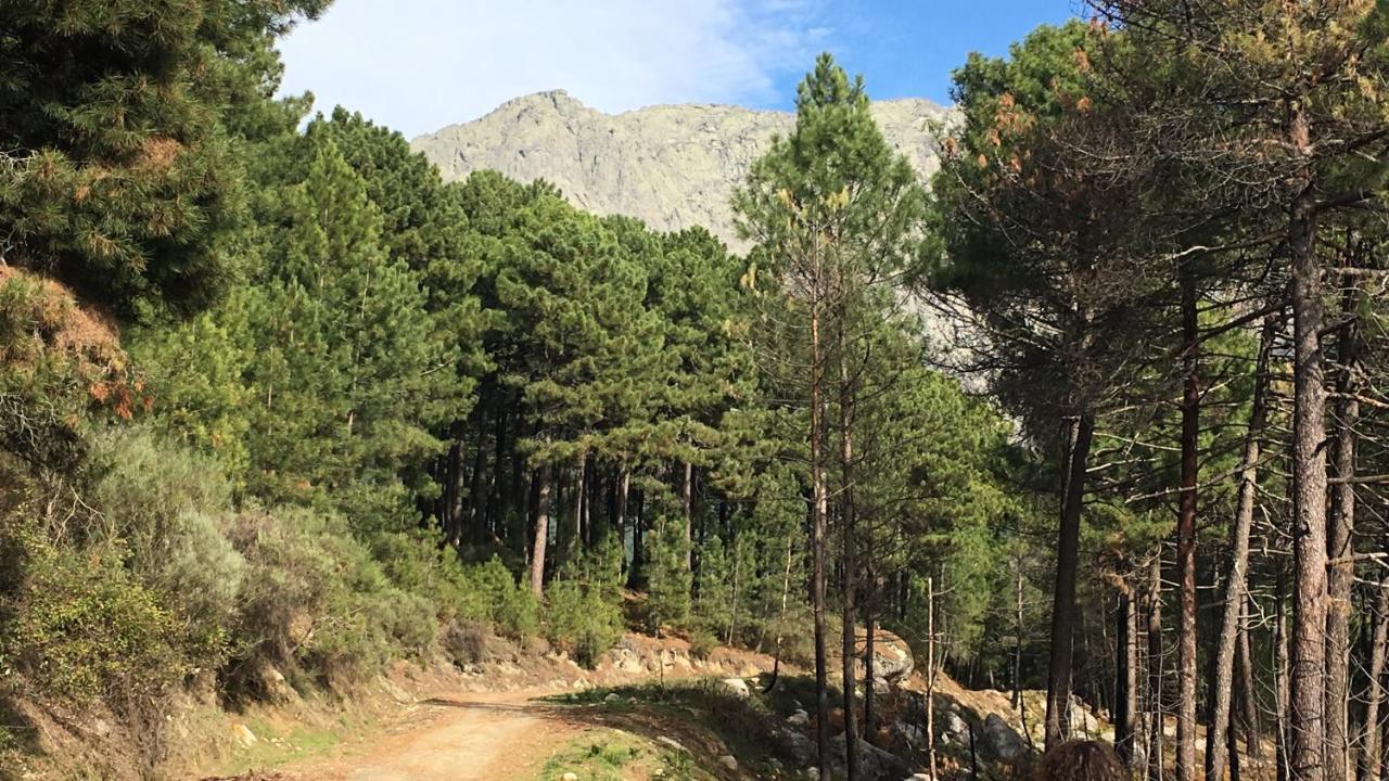 La Calleja Villarejo del Valle Dış mekan fotoğraf